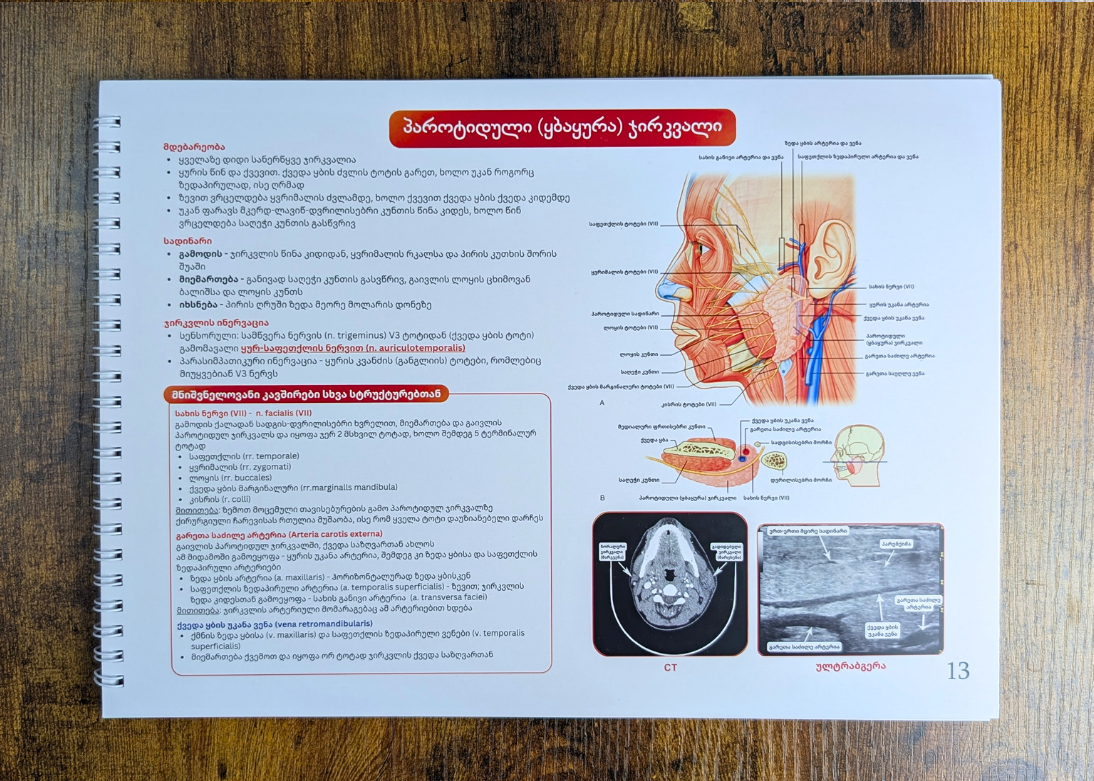 სახის ანატომიის ბარათები
